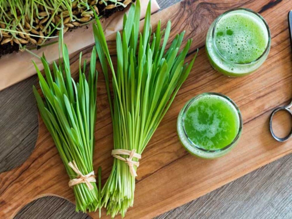 3 Cách chữa xuất tinh sớm bằng lá hẹ hiệu quả, cực kỳ đơn giản