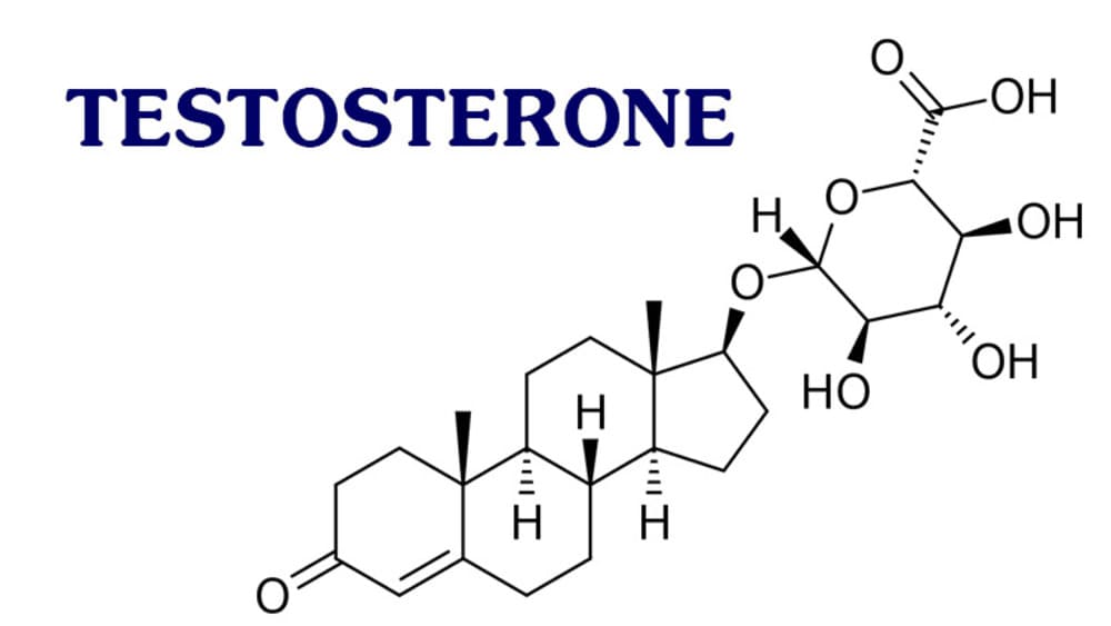 Suy giảm testosterone, cách nhận biết và khắc phục thiếu testosterone ở nam giới