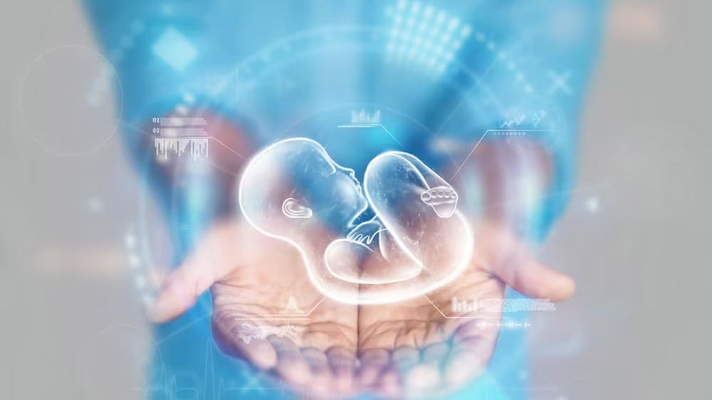 Tinh trùng dị dạng có ảnh hưởng đến thai nhi hay không? Có gây dị tật cho con không?